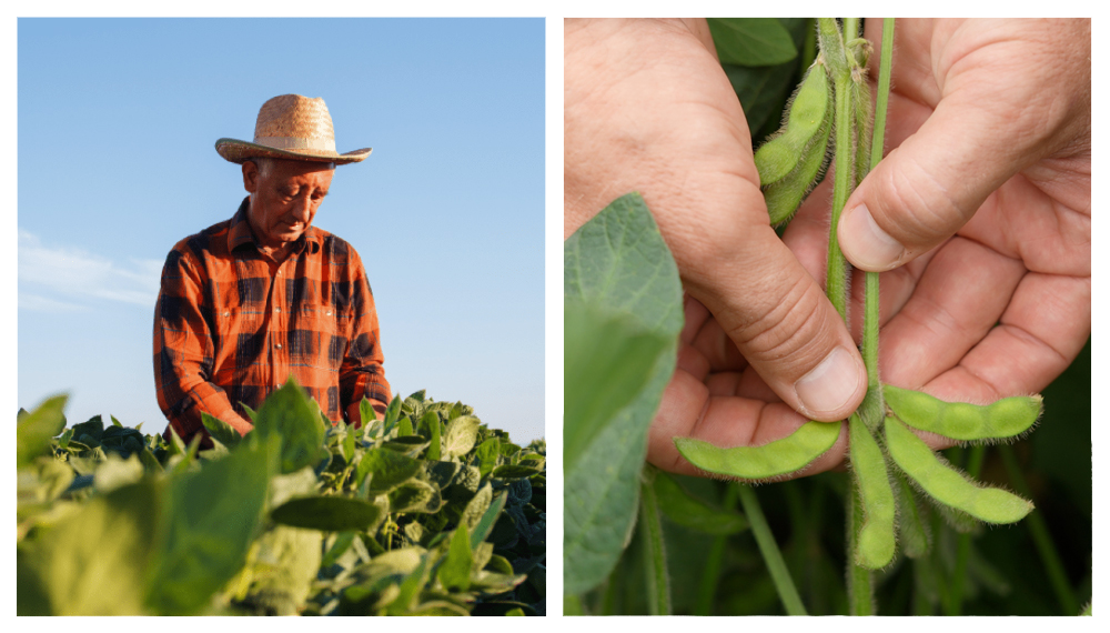 farmerplant